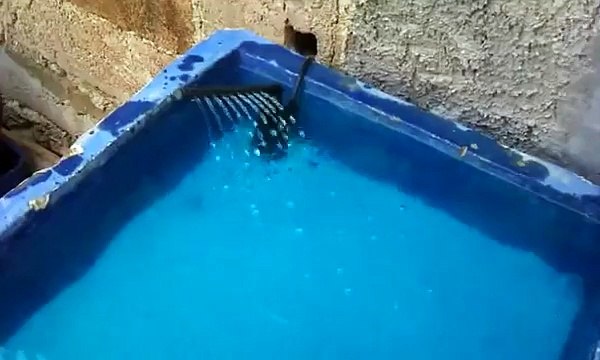 estanque de peces mini