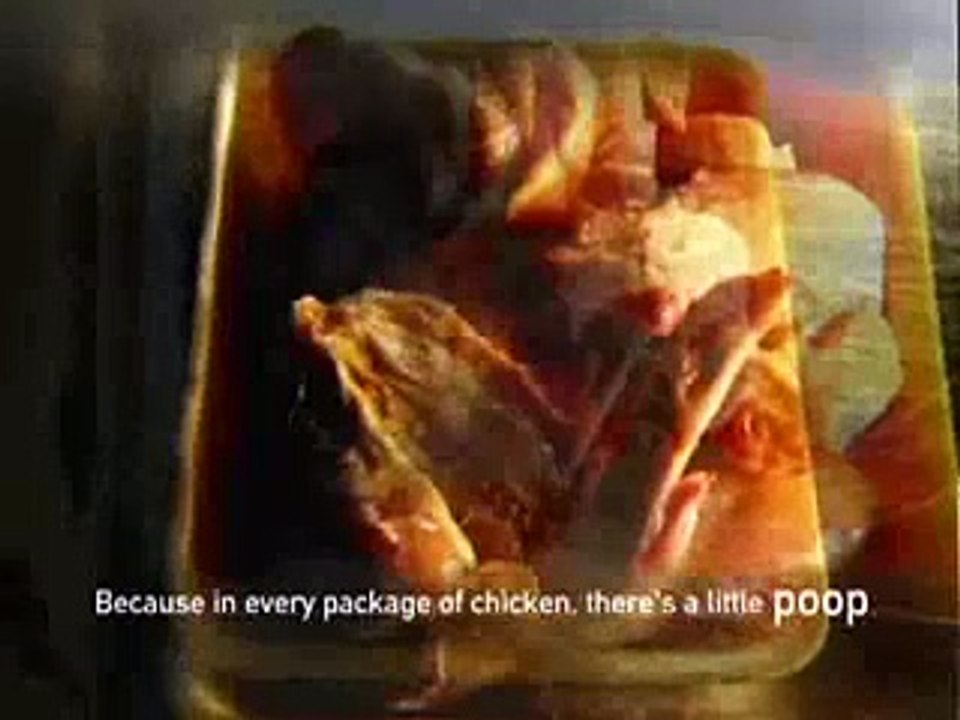 15+ Reasons to Quit Eating Meat & Be a Vegetarian ~ MUST SEE
