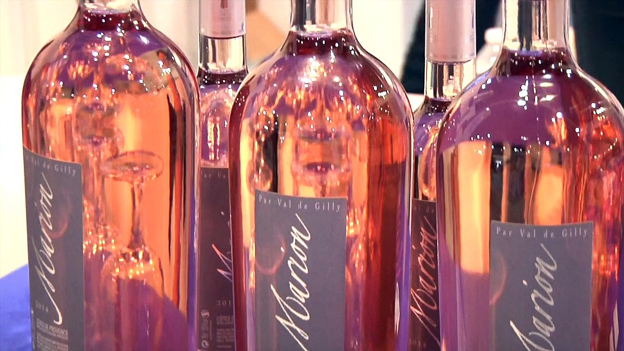 Université d'été du FN 2015 : aperçu de l'ambiance chez les militants