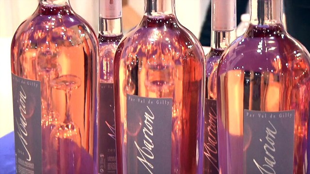 Université d'été du FN 2015 : aperçu de l'ambiance chez les militants