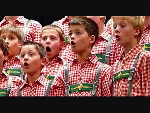 Kukiz i Piersi - Satany (metal funny photos compilation)