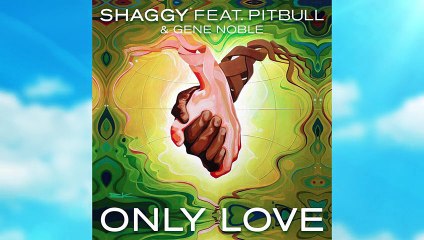 Shaggy - Only Love Ft Pitbull & Gene Noble -  Lyric Video