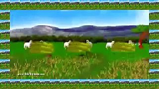 Little Bo Peep has Lost her Sheep   3D Animation English Nursery rhymes for children