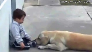 God Doesn't Make Mistakes (Sweet Mama Dog Takes Care of Beautiful Child)
