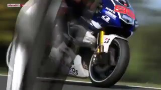 Seagull Sucked Into Motorcycle - Funny Animals