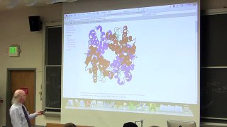 #6 Biochemistry Lecture (Hemoglobin) from Kevin Ahern's BB 350