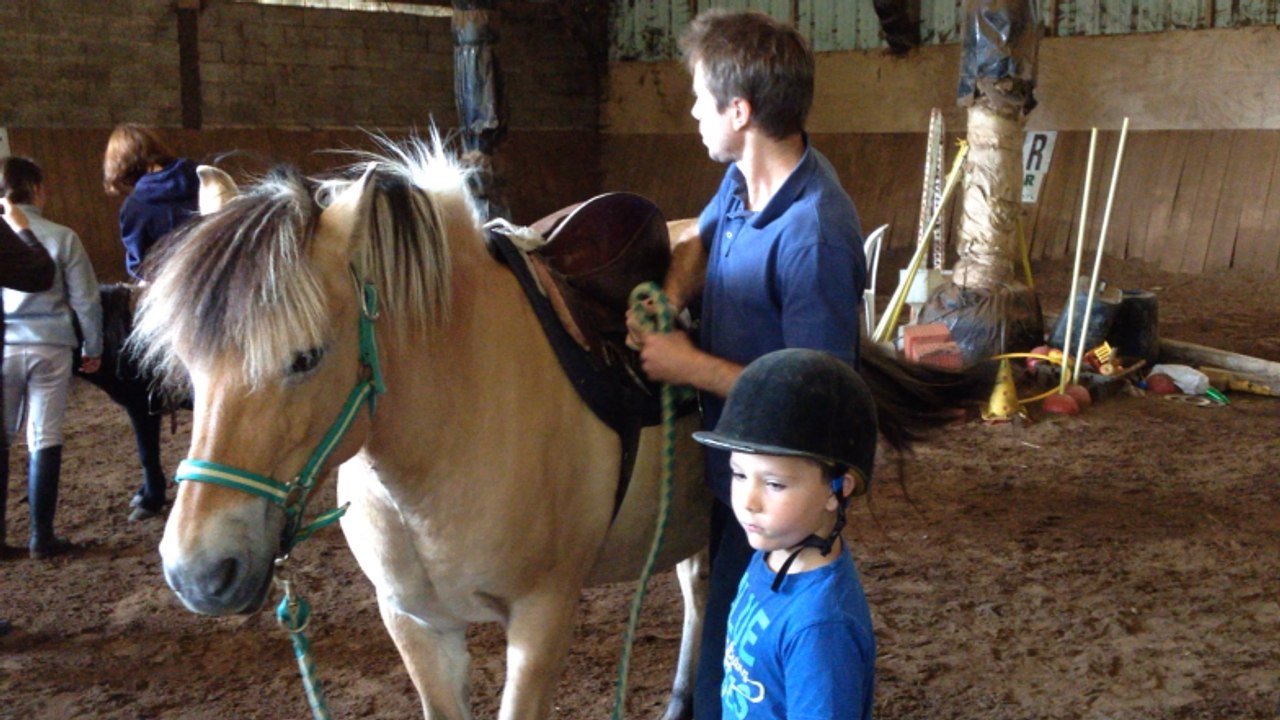 Baptêmes de poney au centre équestre