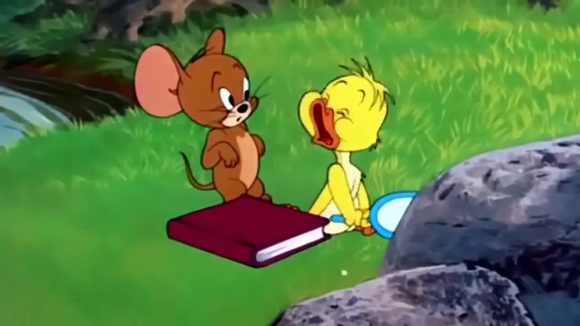 Tom and Jerry Cartoon New Episode || Downhearted Duckling - video  Dailymotion