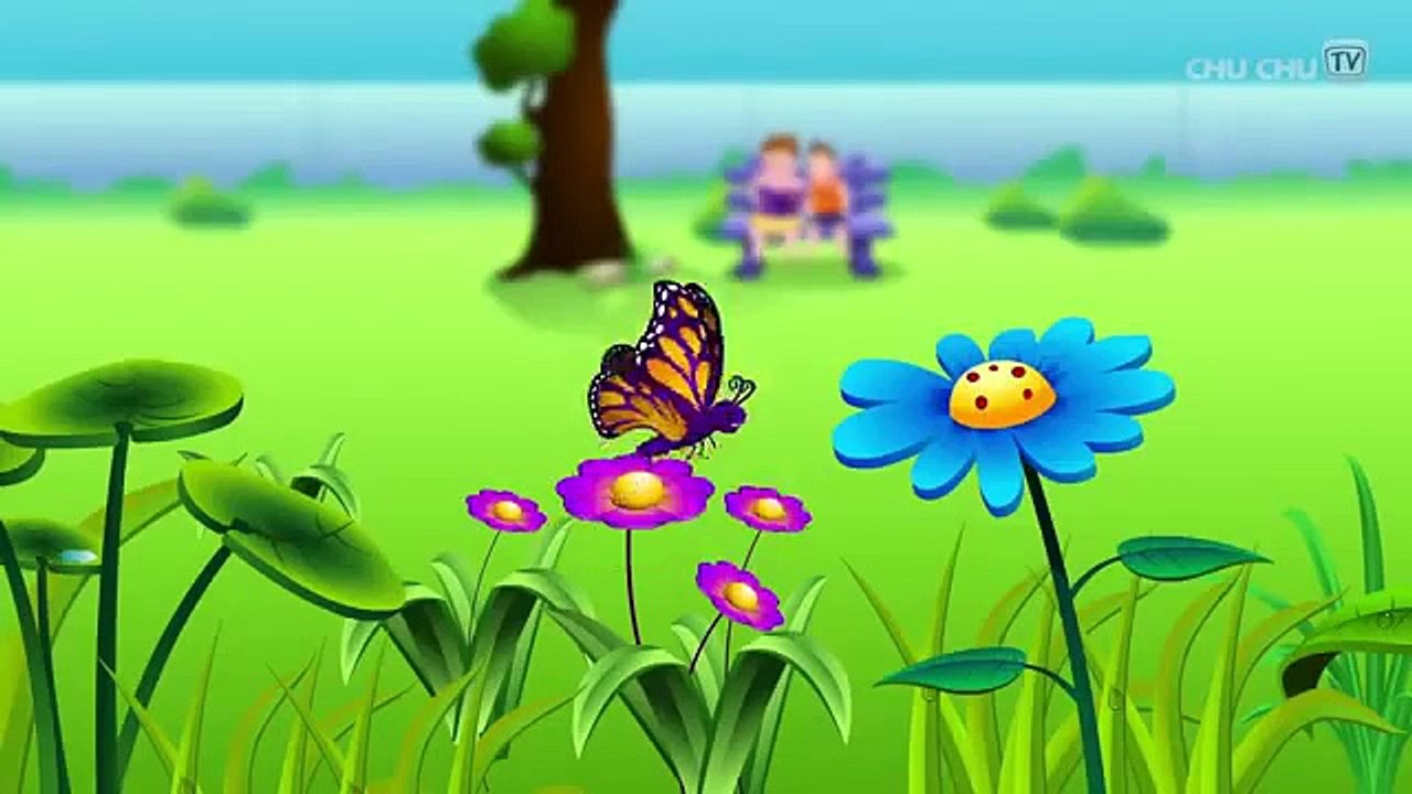 Incy Wincy Spider Nursery Rhyme With Lyrics   Cartoon Animation Rhymes & Songs for Children