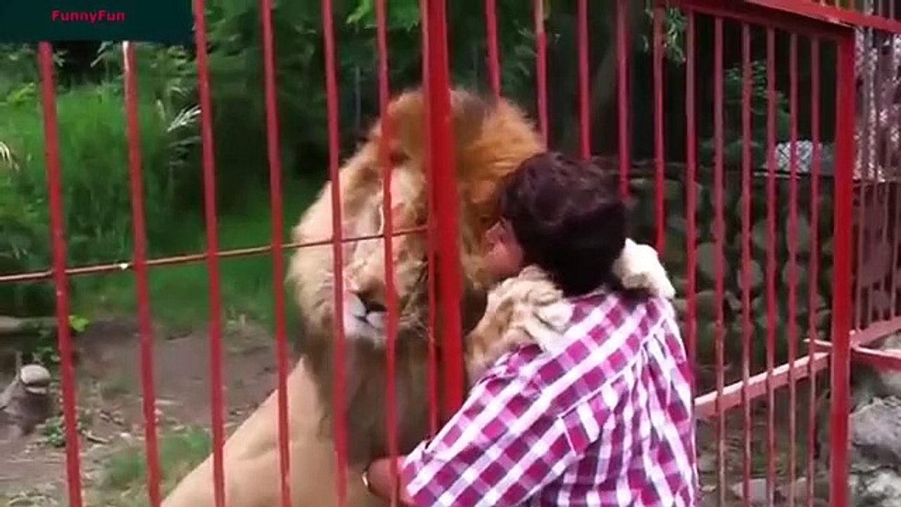 Funny Videos - Best Funny Animals compilation 2015