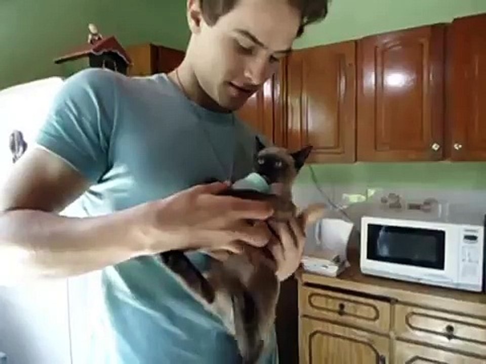 Cute kitten drinking milk like a baby  -D