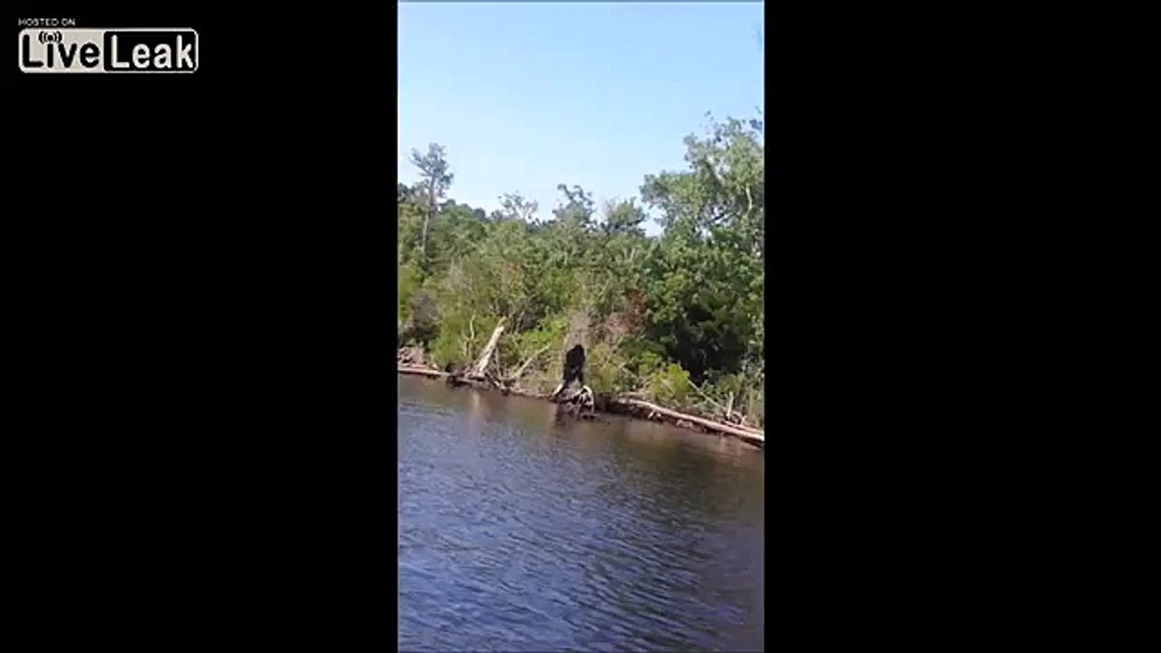A new "Bigfoot" sighting
