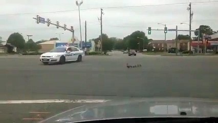 Police officer stops traffic to save ducklings