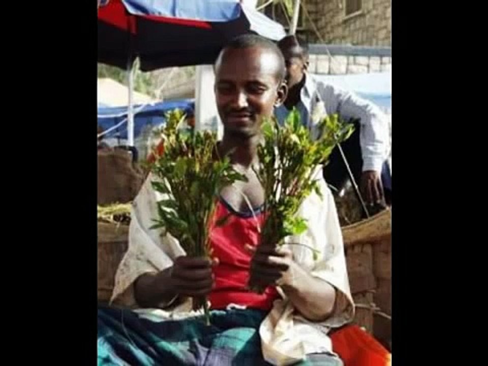 Funny Somali Ever (Rer Garissa+Rer Xamar=Rer Bari) (add Snap Duqbilow)