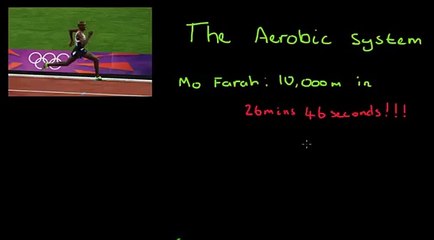 A2 PE - Aerobic system