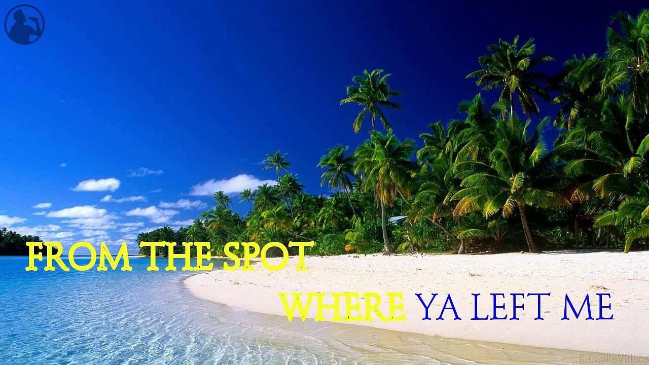 [Karaoke] Just Like A Pill - Pink