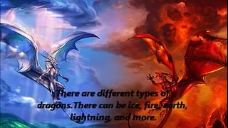 Animal Face-Off:Phoenix VS Dragon