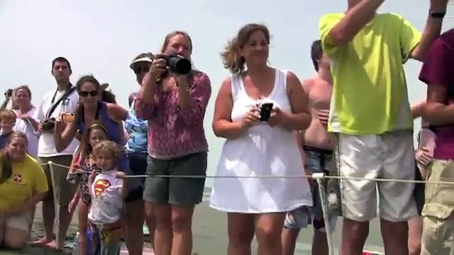 South Carolina Aquarium Releases Sea Turtles on Kiawah Island