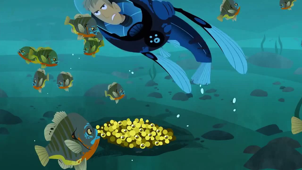 Wild Kratts | Preview | PBS KIDS GO! - video Dailymotion