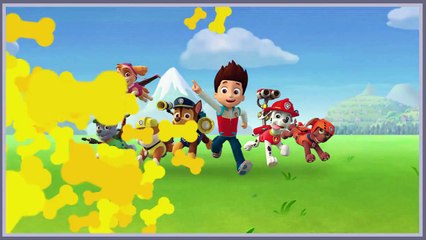 Nick jr Paw Patrol Save Their Friends Cartoon Animation Game Play Walkthrough
