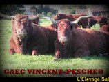 Grand succès du GAEC VINCENT-PESCHER au Concours Salers 2015 Saint Amand Roche Savine / Salers Breeding Zucht Ganado