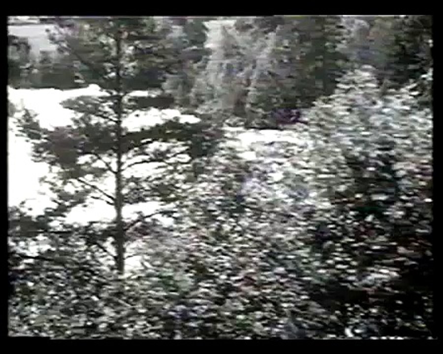 The Train (Part 2) - Swedish film by Gosta Werner