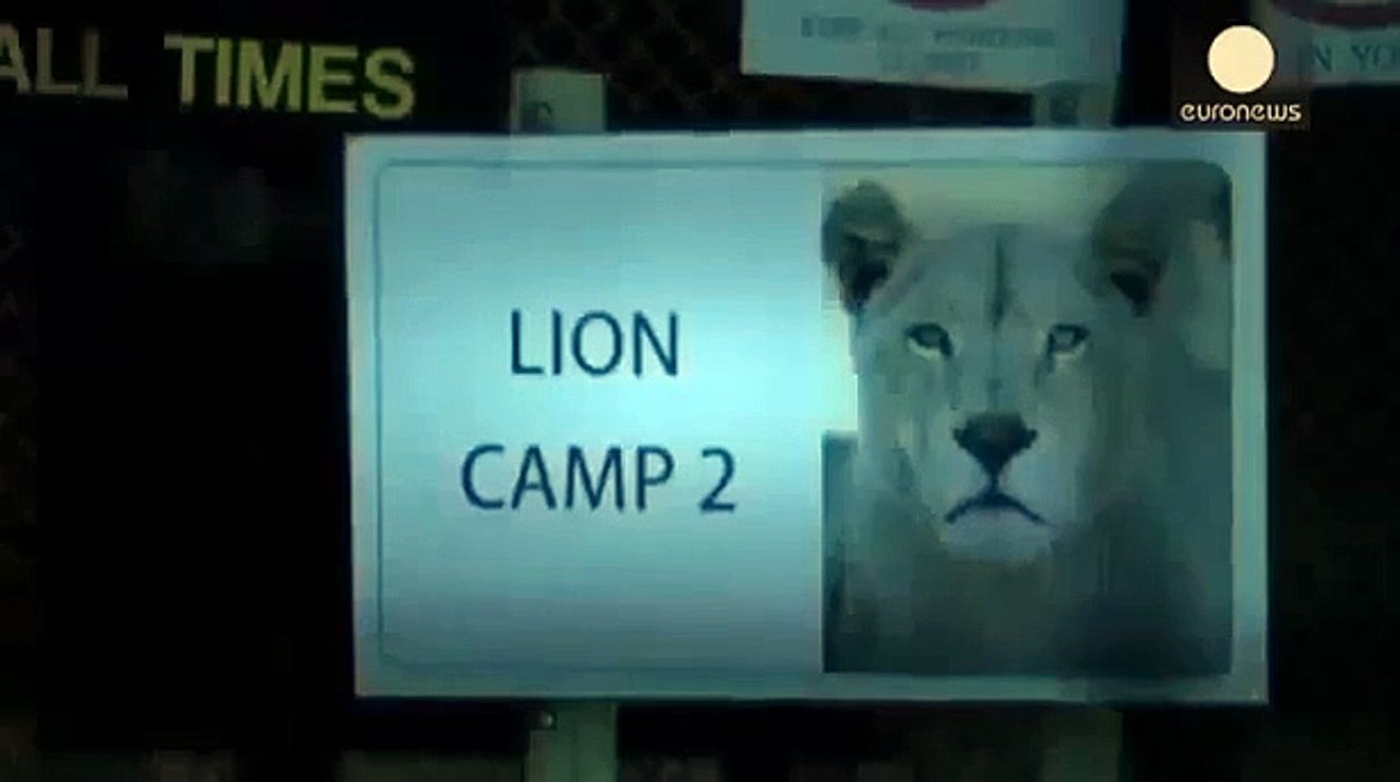 American tourist killed in lion attack at South Africa park 2