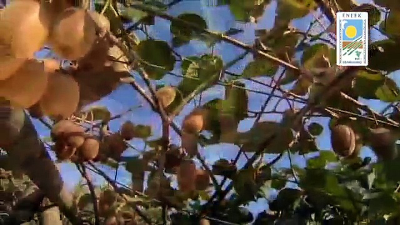 Agricultura ecológica a nuestro alcance
