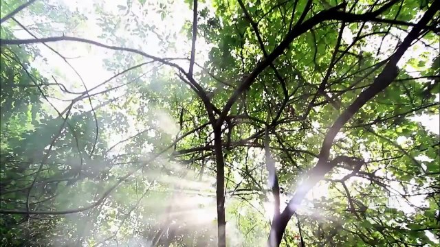 I'll Walk with God - Mormon Tabernacle Choir