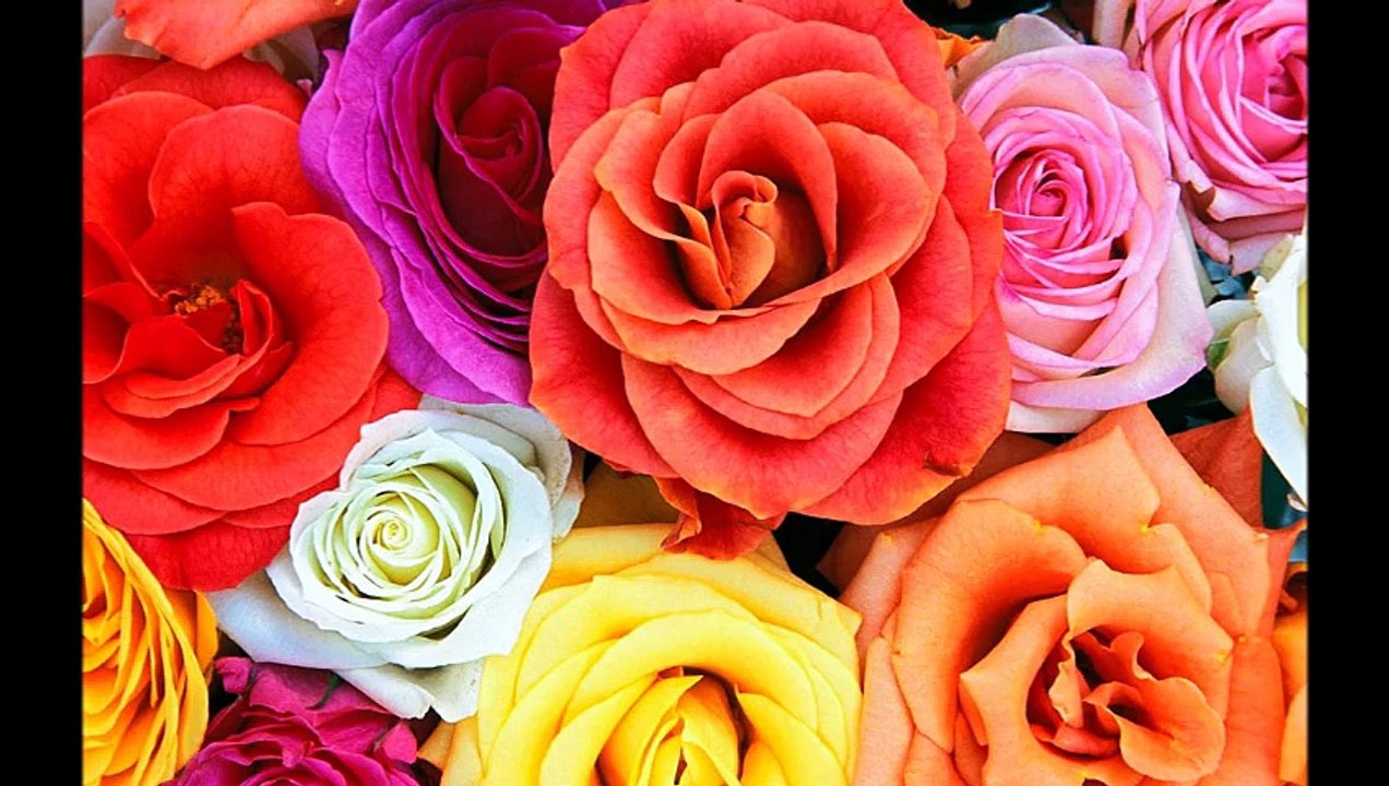 Celal ABACI-Öyle Bir Göz Süzdün Öyle Bir Baktın (Yangın Var)