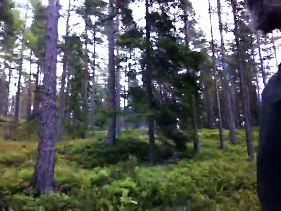Sep 6 2015 3
