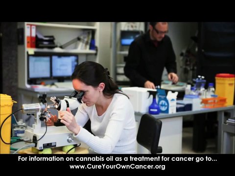 Dr.Christina Sanchez explains how cannabis kills cancer cells (MORE at cureyourowncancer.org)