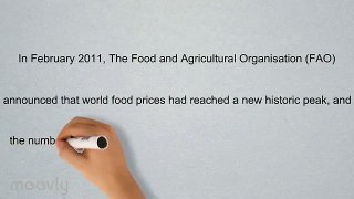 Some Facts About Global Food Crisis