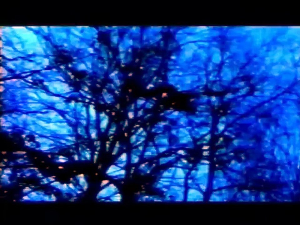 Dragana Mirkovic - Placi, zemljo