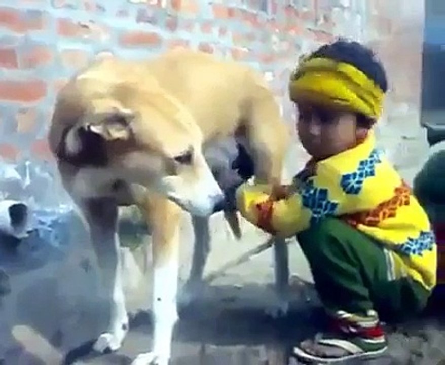 ufff ye aj k bachy