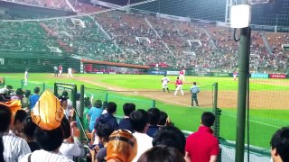 Sajik Park Baseball Stadium, 5th July, 2014
