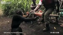 Funny shooting - monkey shooting