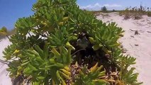 Grace Bay, Turks & Caicos Islands - GoPro 2013