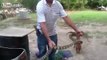 Man allows snakes to bite him