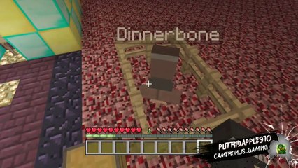 minecraft name tag secrets!