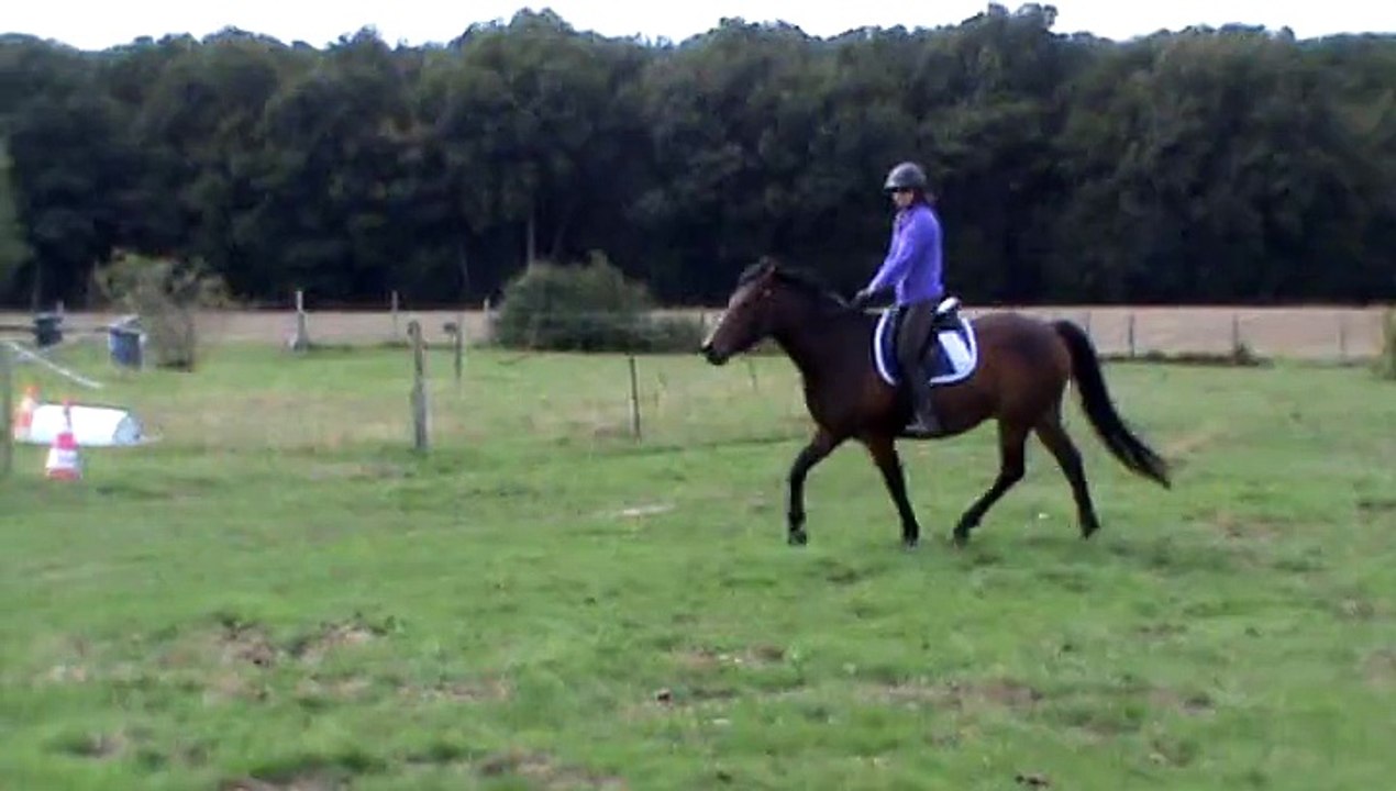 Volt sautants 2, sept 2015