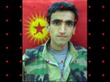 PKK  Leşleri - pkk ölüleri