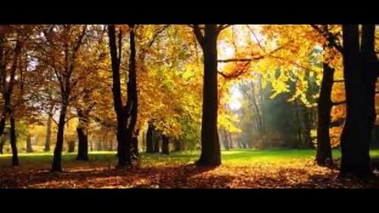 Yılmaz Morgül - Yalnızlık Makamı...