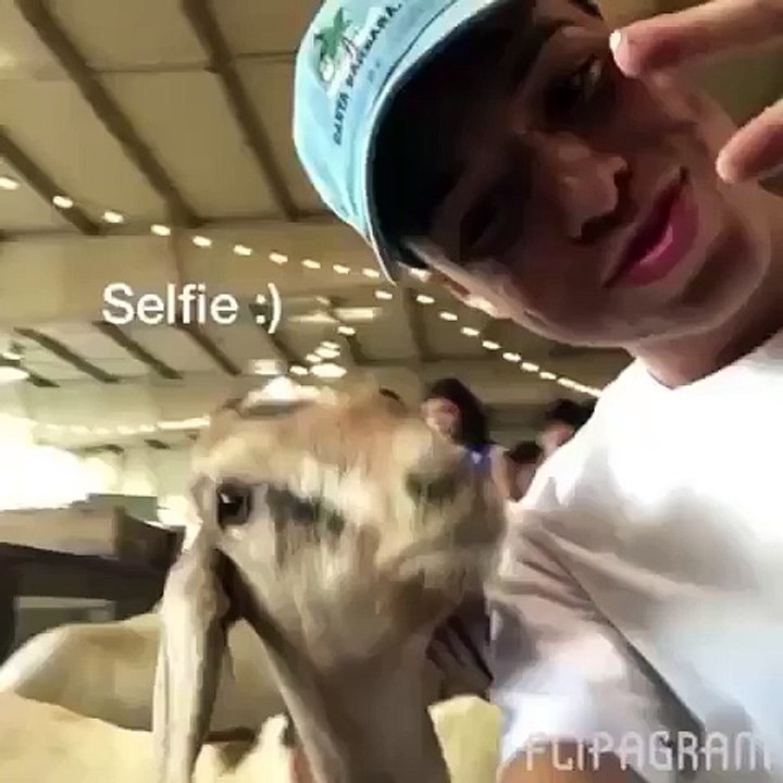LARRAY I TRIED TO TAKE A CUTE PICTURE WITH THIS GOAT & THIS BITCH TRIED TO EAT ME