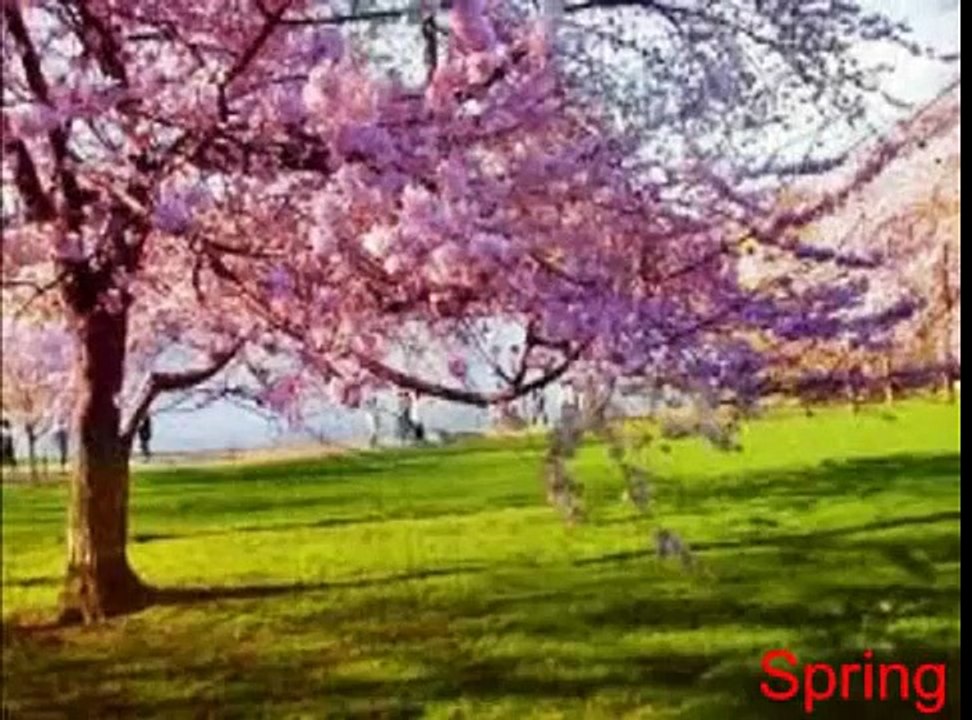 LIN 524 - ESL Listening lesson - Poetry - Winter, Spring, Summer, Fall