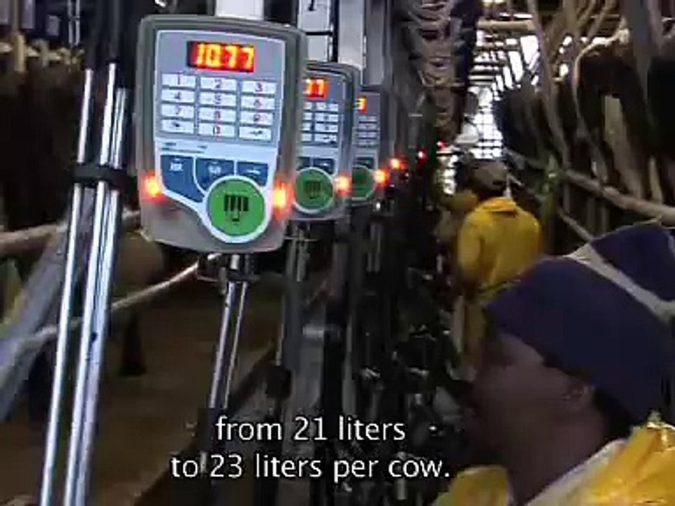 afimilk® - Vergaderingrall Farm Testimonial