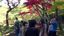 Japan Documentary - GARDENS & CULTURE (Part 2/12) - ISHIYAMADERA, HIKONE CASTLE and OMI HACHIMAN