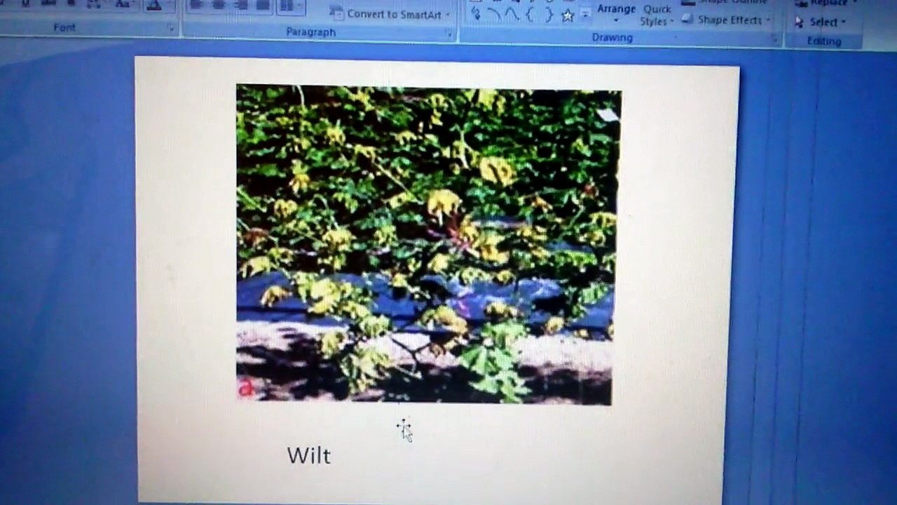 DOWNLOAD FREE VIDEO ON DISEASES MANAGEMENT IN  BITTERGOURD