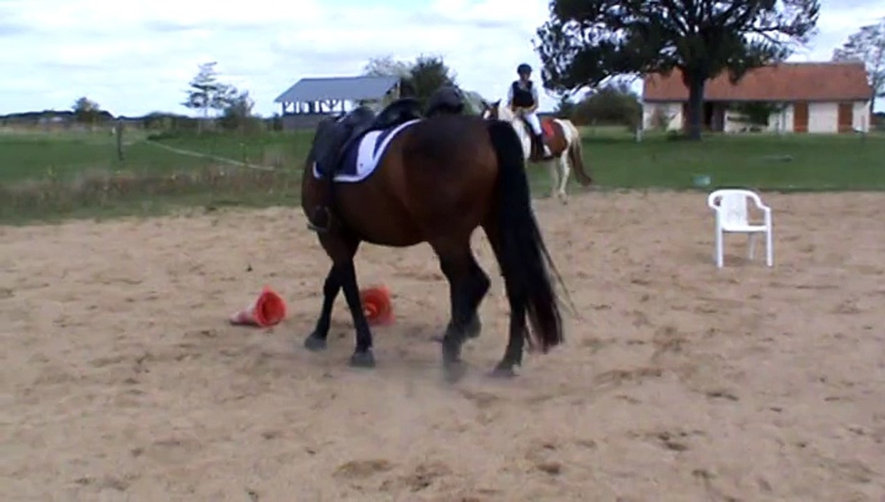 Volt, le cercle en lib', ébauche, sept 2015.