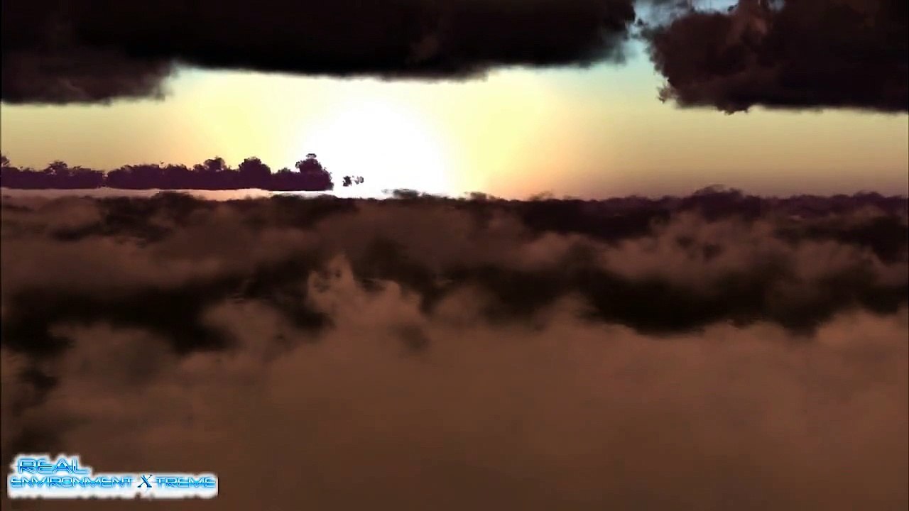 REAL ENVIRONMENT XTREME REX